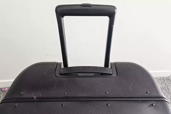 A close-up of the handle of the MiaMily Check In