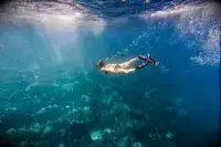 Underwater photo of snorkeler swimming taken with DJI Osmo Action 4
