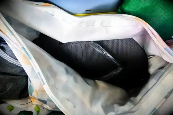 A pair of Havaianas Women