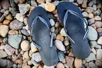 An overhead view of a pair of Havaianas Women