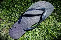 The Havaianas Women