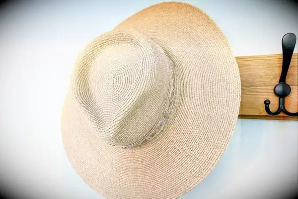  Lack of Color Palma Wide Fedora