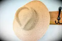  Lack of Color Palma Wide Fedora