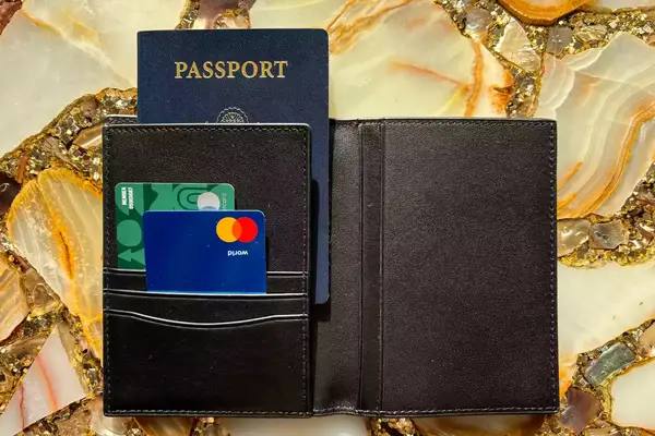 A passport and credit cards inside the Quince Nappa Leather RFID Blocking Passport Holder