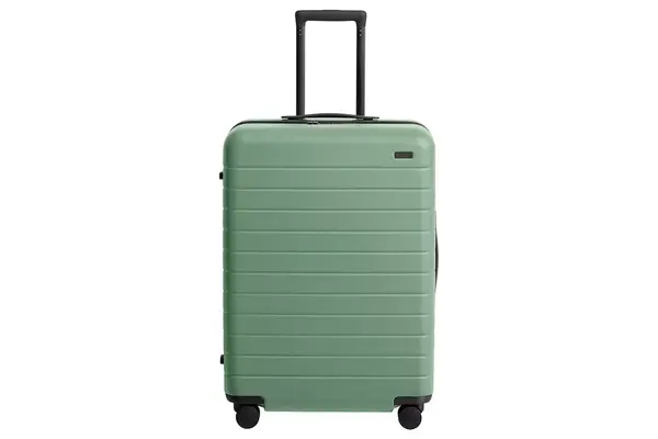 Away Medium Checked Luggage