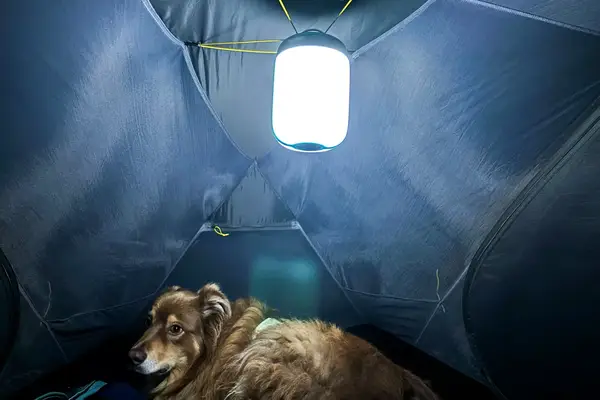 Kuiu Mountain Star 2 Person Tent