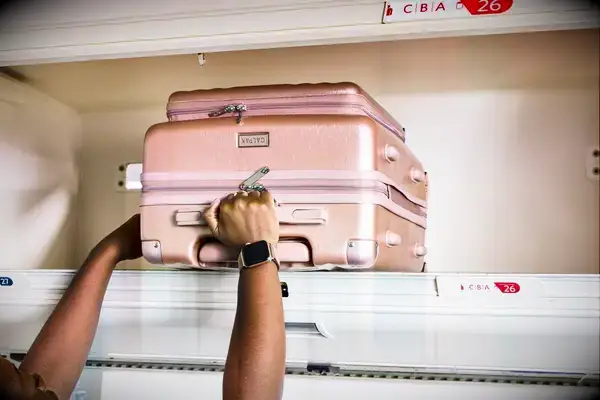 A person putting the Calpak Ambeur Front Pocket Carry-on Luggage in an overhead compartment 