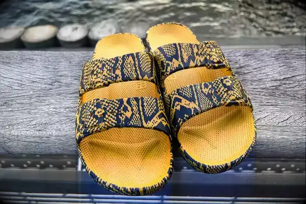 Freedom Moses Freedom Slides on a wood background with water