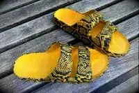 Freedom Moses Freedom Slides on a wood background