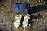 Bared Footwear Sanderlings on the sand with the bag behind