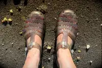 A person wearing the Melissa Possession Jelly Fisherman Sandal on the sand