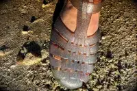 Top view of a person