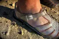 Close up of the buckle on the Melissa Possession Jelly Fisherman Sandal