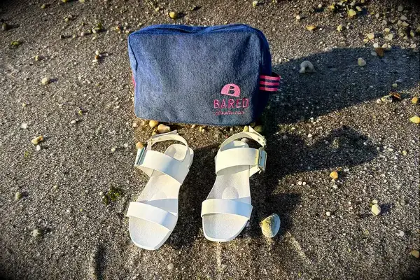 Bared Footwear Sanderlings on the sand with the bag behind