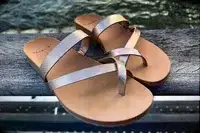 Frankie4 Isla on a wood bakground