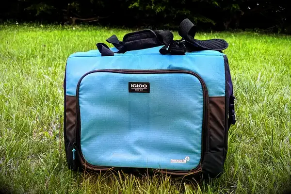 The Igloo Latitude Snapdown 36-Can Cooler Bag in grass