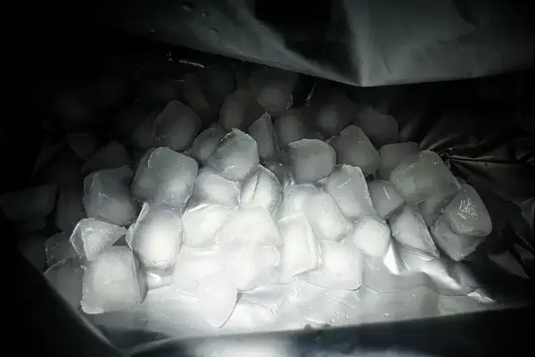 Ice in the Igloo Latitude Snapdown 36-Can Cooler Bag