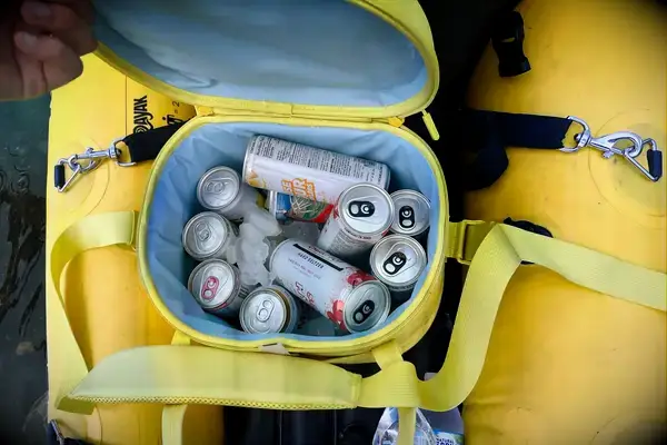 Canned beverages inside the Hydro Flask Carry Out Soft Cooler