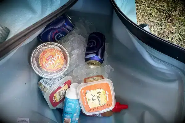 Drinks and snacks on ice inside the Hydro Flask 26 L Day Escape Soft Cooler Tote