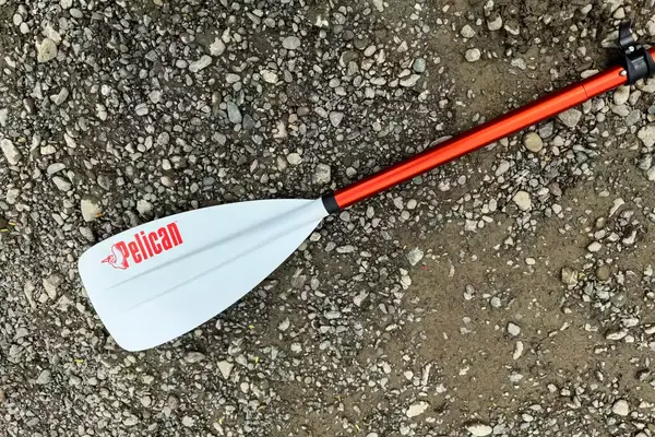 The Pelican Inflatable Loungeboard