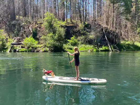 A person and their dog using the SereneLife Inflatable Stand-up Paddleboard on a lake 