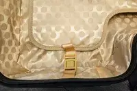 A close-up of the inside fabric of the Younglingz Ride On Suitcase