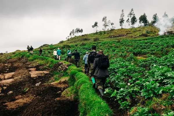 Group hiking on a path through farmland and greenery