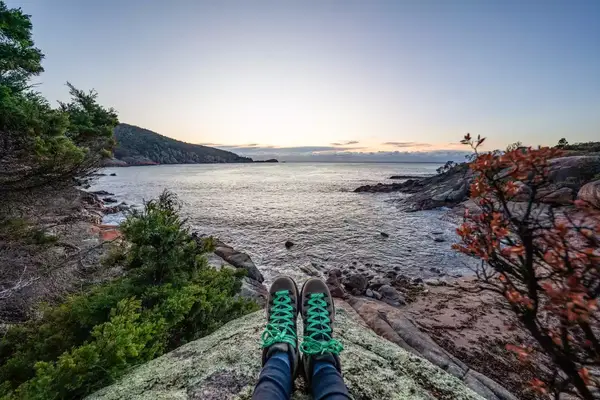 Danner Mountain 600 Evo