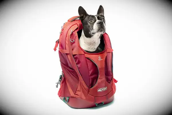 Kurgo G-Train Dog Carrier Backpack