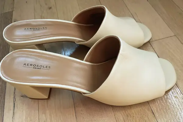 The Aerosoles Entree Shoe on a wooden floor