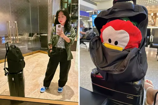 lululemon Backpack Atop Suitcase and Pengy in Backpack Split