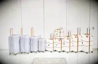 10 Delsey suitcases lined up