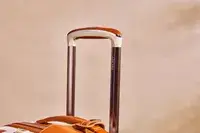 Closeup of the extended handle of the Delsey Chatelet Air 2.0 21-inch Carry-on Spinner