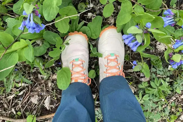 A person walks through plants while wearing the Oboz Womenâs Katabatic Mid Waterproof Hiking Boots