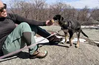 Merrell Moab 3 GTX Mid Hiking Boots