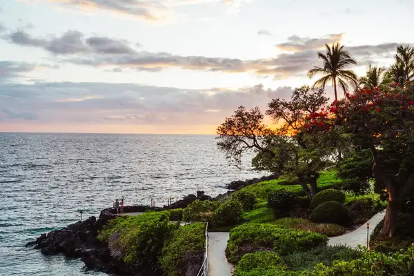 A scenic coastal view with a sunset over the ocean framed by trees and greenery