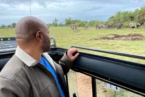 Kwin looking at a memory of elephants grazing at Amboseli National Park.