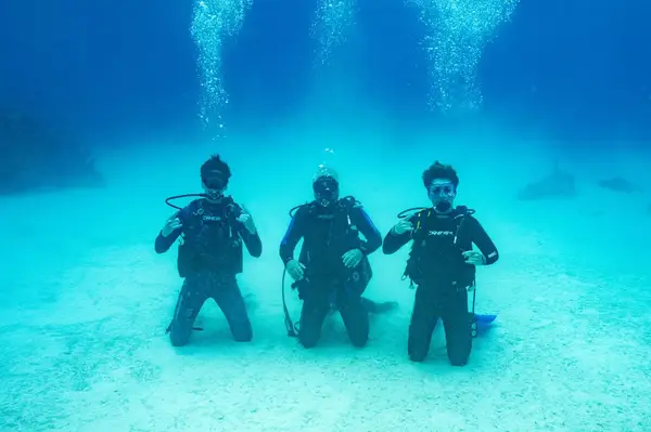Guy Fieri scuba diving with kids 