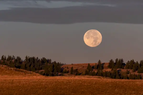 harvest moon over farmland in kamloops, british columbia, the full moon closest to the autumn equinox and first day of fall