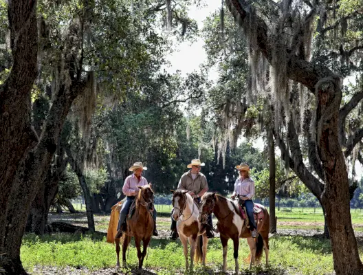three people riding horses under oak trees and sppanish moss
