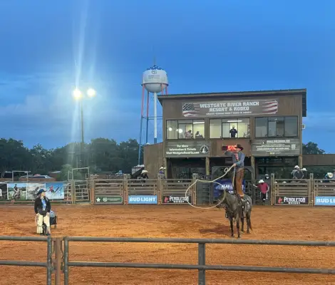 man standing on a horse during a rodeo