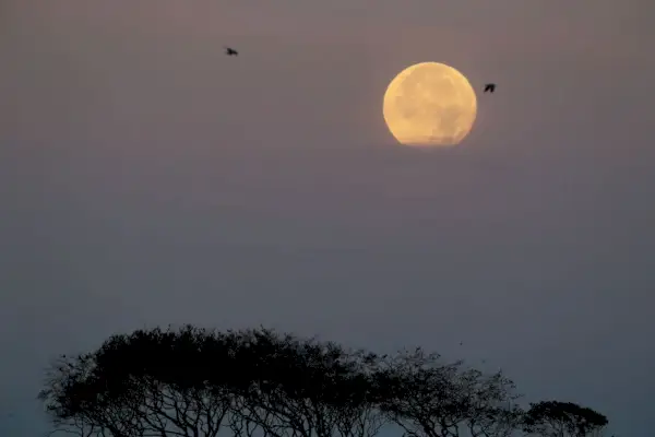 Autumn weather Oct 6th 2017