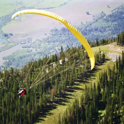 a person paragliding in the air above a mountain forest