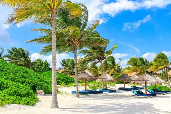 Beach, Mayakoba, Mexico