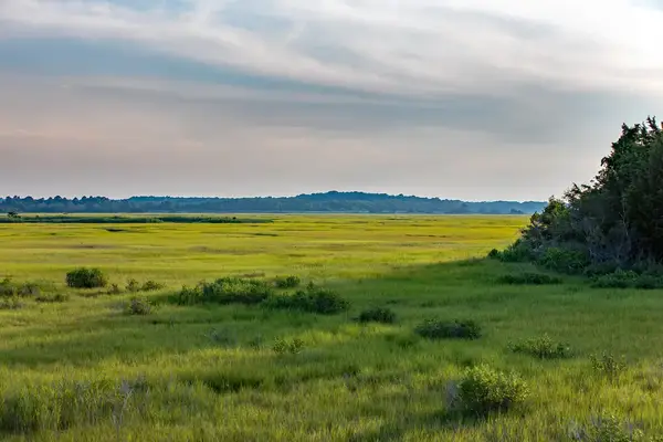 Nature trails near Lewes, Delaware at sunset.