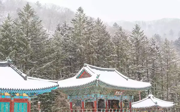 Landscape of snow-covered temple in Pyeongchang, South Korea