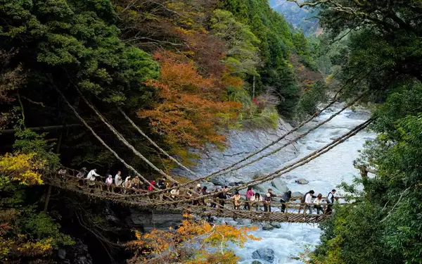 Japanese people crossing the famous vine bridge at Kazurabashi, Iya Valley, Tokushima, Shikoku, Japan.