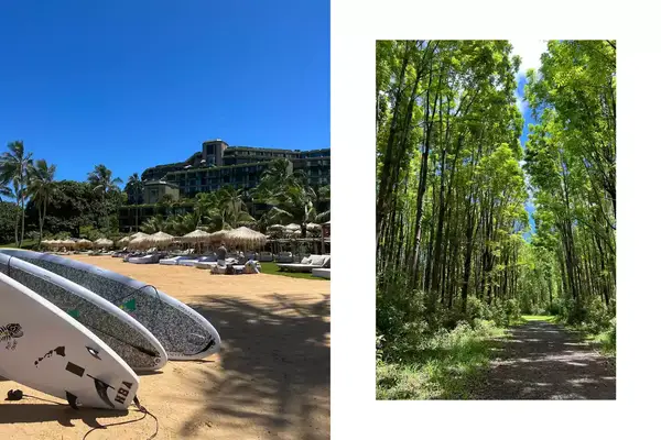 Surf and paddle boards at the beach of 1Hotel Hanalei Bay and the tall trees seen on a hike