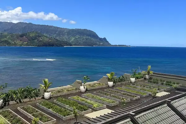 Rooftop garden at 1Hotel Hanalei Bay