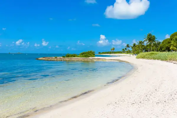 Sombrero Beach with palm trees on the Florida Keys, Marathon, Florida. Tropical and paradise destination for vacation.
